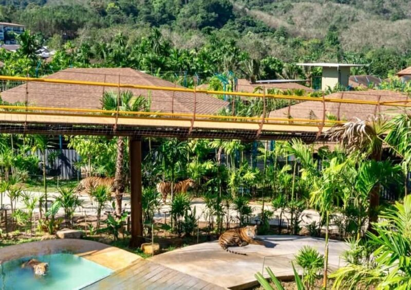 Phuket: Guided Tour with ATV Ride and Elephant Sanctuary - Introduction: A Day of Exploration, Adventure, and Respectful Wildlife Encounters