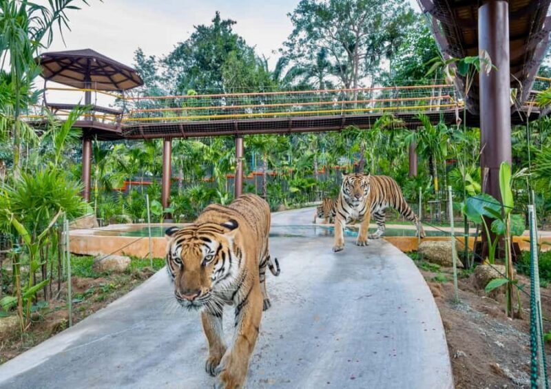 Phuket: Guided Tour with ATV Ride and Elephant Sanctuary - The Thrill of ATV Riding in the Thai Countryside