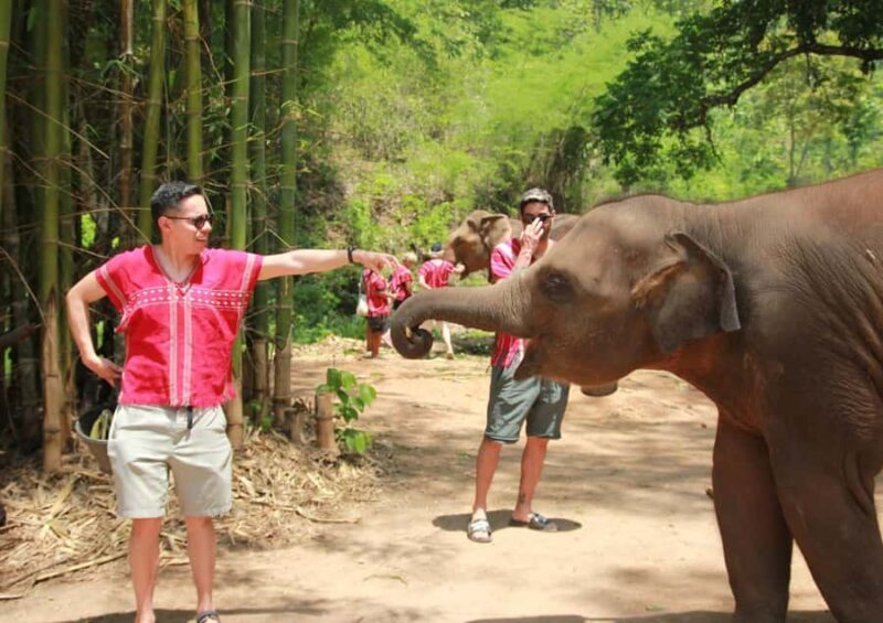 Phuket: Guided Tour with ATV Ride and Elephant Sanctuary - Who Is This Tour Best For?