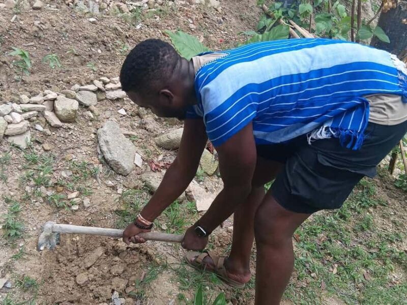 Phuket: Guided Walk Tour to Elephant Sanctuary with Transfer - FAQ