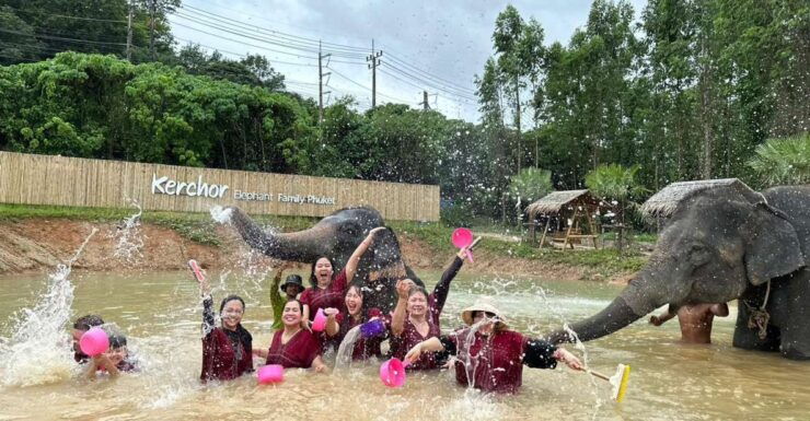 Phuket : Half Day Elephant Care Elephant Family - Highlights