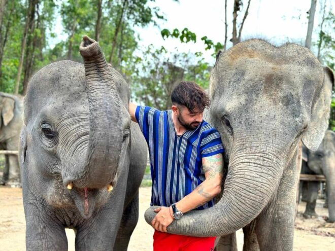 Phuket : Half Day Elephant Care Elephant Family - Full Description