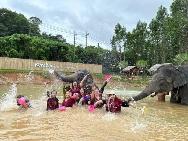 Phuket : Half Day Elephant Care Elephant Family - The Sum Up