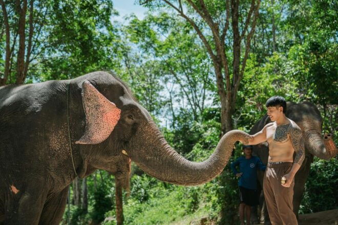 Phuket: Half-Day Elephant Explorer at Phuket Elephant Care - Painting Activity for Souvenir