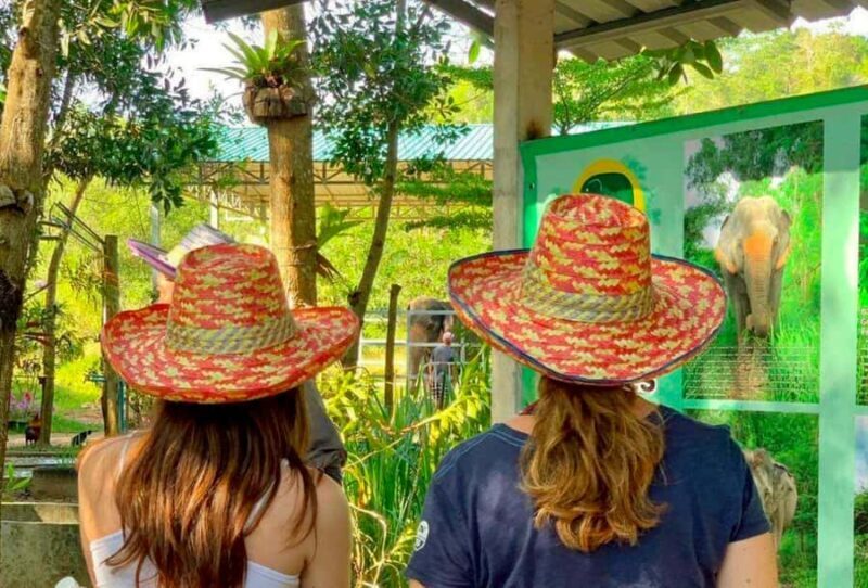 Phuket: Half-Day Ethical Elephant Sanctuary Tour with Lunch - Good To Know