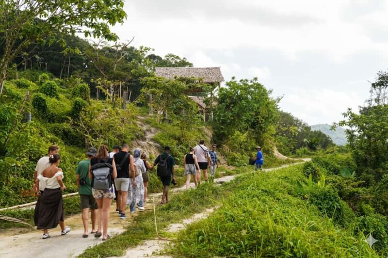 Phuket: Half-Day Ethical Elephant with Meal and Transfer - The Value of This Experience