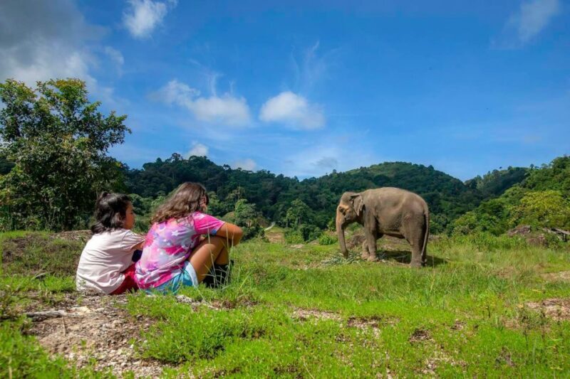 Phuket: Half-Day Ethical Elephant with Meal and Transfer - FAQs