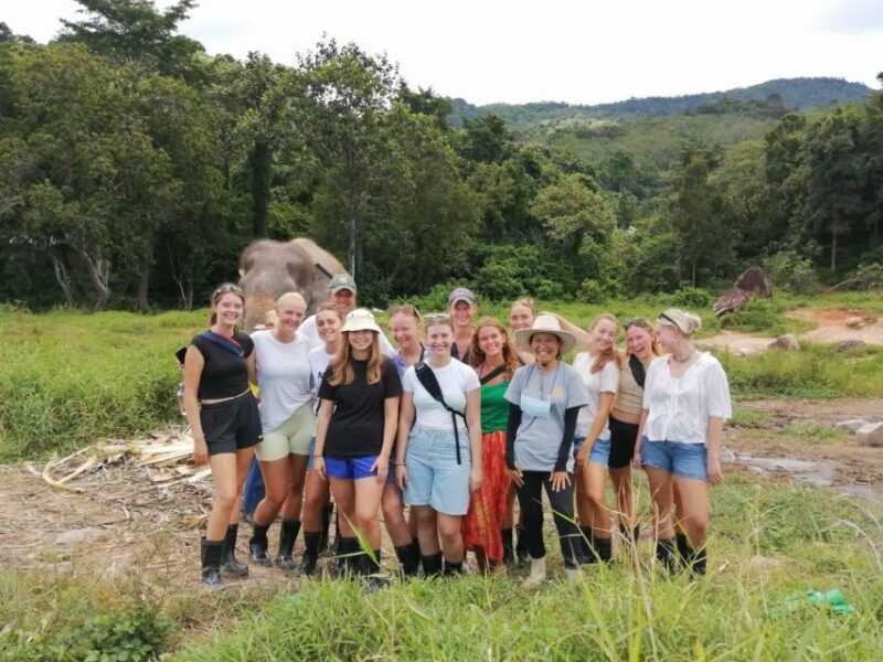 Phuket: Half-Day Ethical Elephant with Meal and Transfer - Final Thoughts