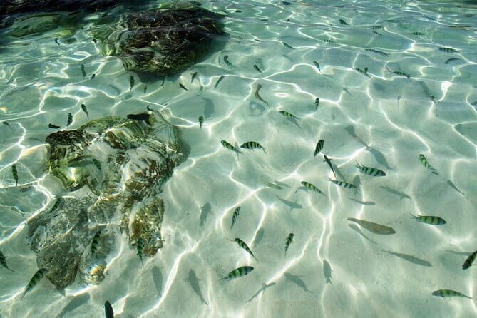 Phuket: Half Day Khai Islands by Speedboat - What to Expect from This Half-Day Adventure