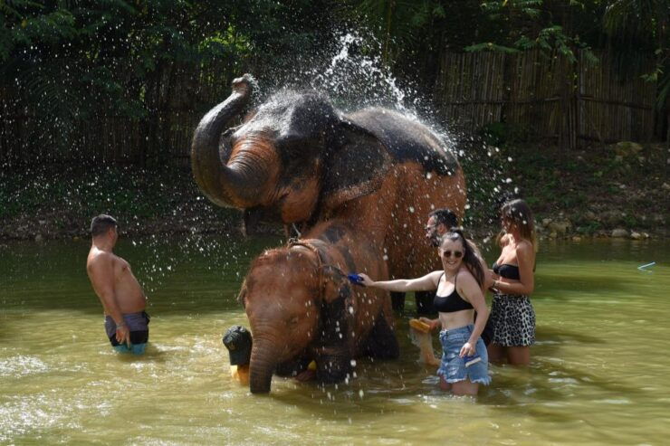 Phuket: Half Day or 2-Hour Ethical Elephant Care Sanctuary - Experience Ethical Elephant Interactions