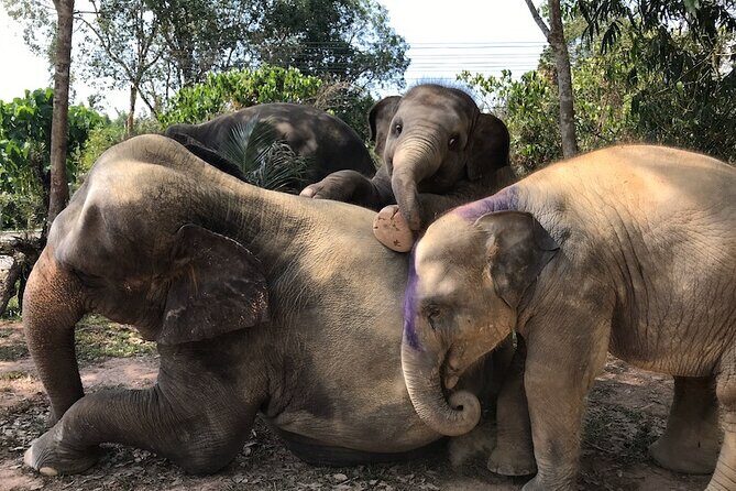 Phuket Half Day Private Luxury Transport - FAQ