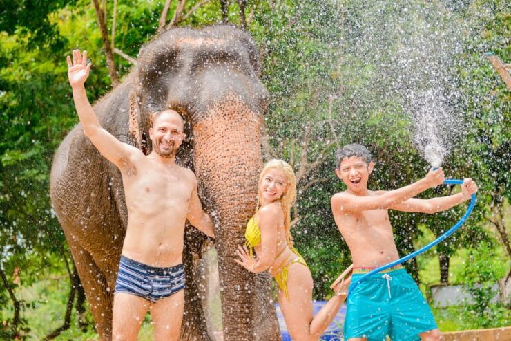 Phuket: HAPPY Hour! Feed and Rain Shower With Seaview - Key Points