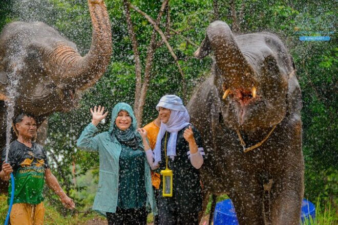 Phuket: HAPPY Hour! Feed and Rain Shower With Seaview - Scenic Location Details