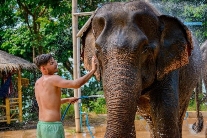 Phuket: HAPPY Hour! Feed and Rain Shower With Seaview - Whats Included in the Package