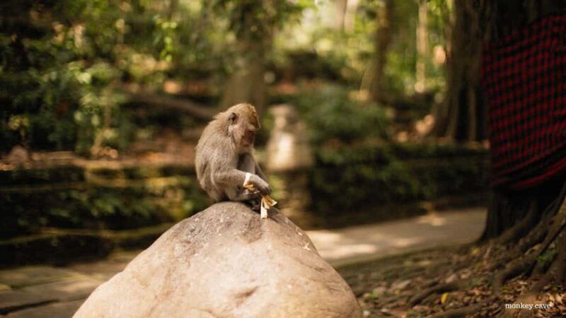 Phuket: Hidden Lagoon Canoe Longtail Discovery Tour - The Sum Up: Who Is This Tour Best For?