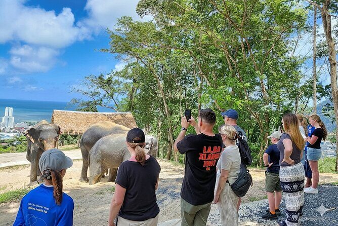 Phuket Highlight Tour Big Buddha Temple and Elephant Sanctuary - Frequently Asked Questions
