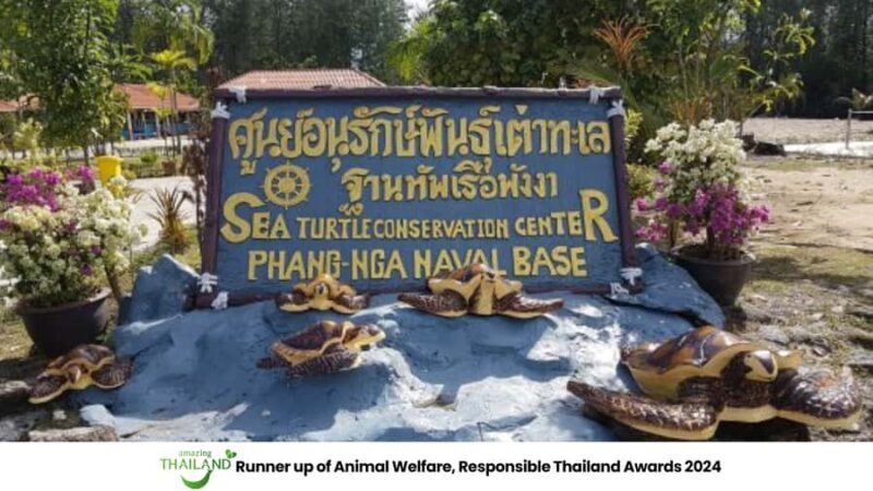Phuket: Highlights Sea Turtle Center, Rafting ,Temple Tour - Final Thoughts
