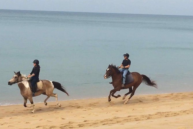 Phuket Horse Riding Club - Pricing and Booking Details