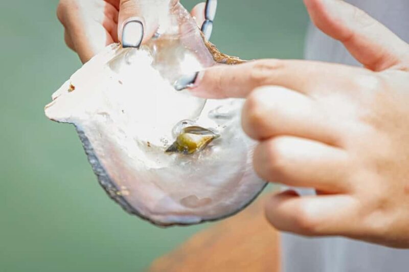 Phuket: Intara Farm & Pearl Factory Half-Day Tour with Lunch - What You Can Expect on This Tour