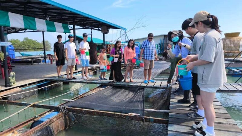 Phuket: Intara Farm & Pearl Factory Half-Day Tour with Lunch - Final Thoughts