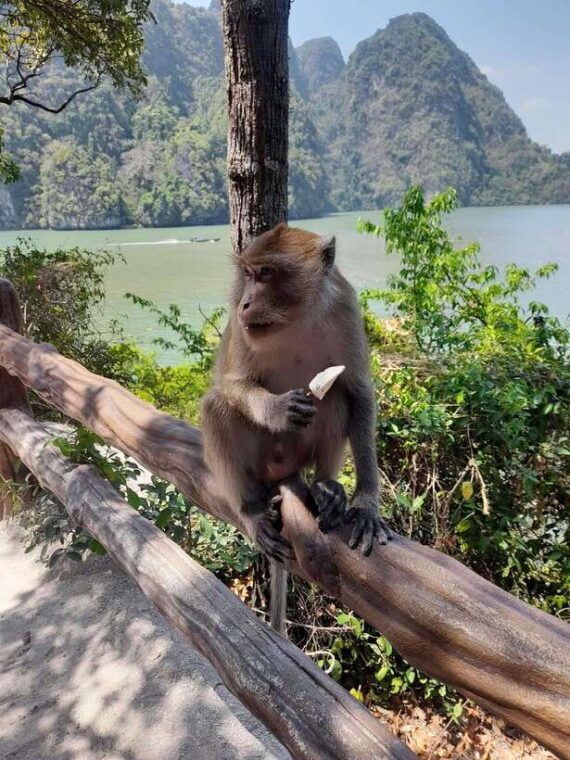 Phuket: James Bond Island by Longtail Boat VIP Group Tour - Activities and Experiences