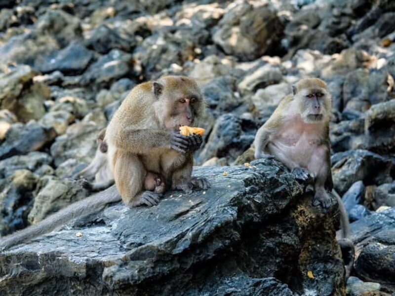 Phuket: James Bond Island Sea Canoe with lunch by Big Boat - The Value of Multiple Stops and Activities