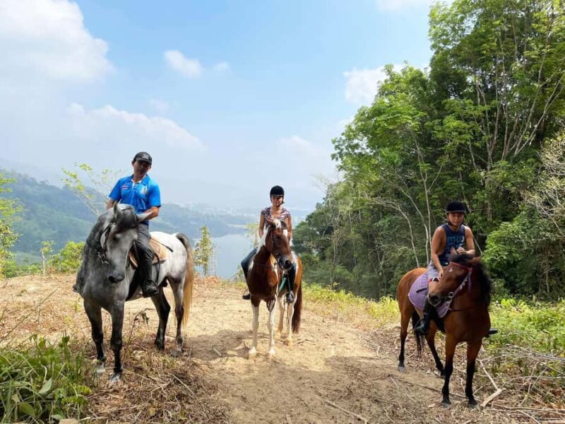 Phuket Jungle Horseback Ride with Scenic Forest Views - Good To Know