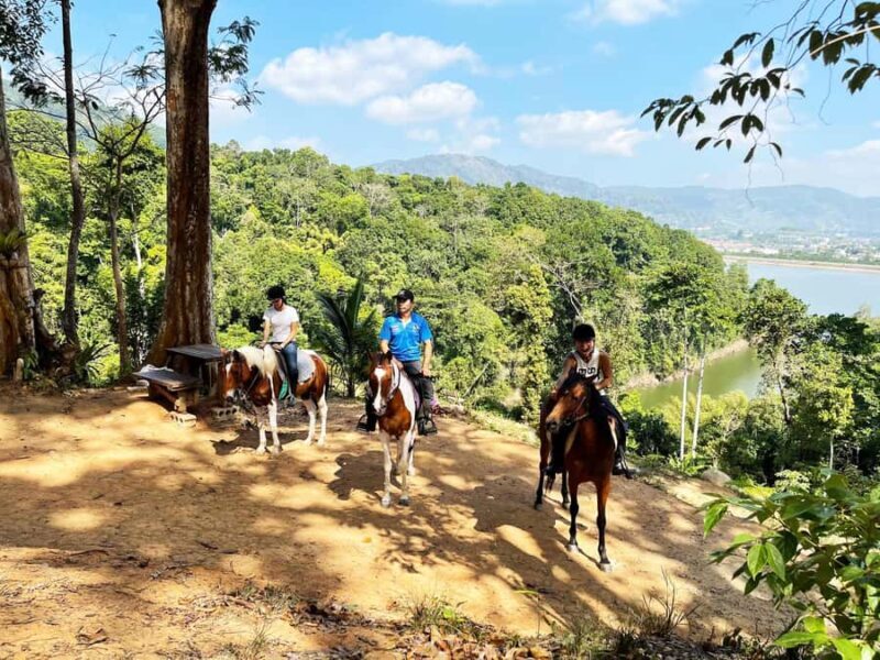 Phuket Jungle Horseback Ride with Scenic Forest Views - Final Thoughts