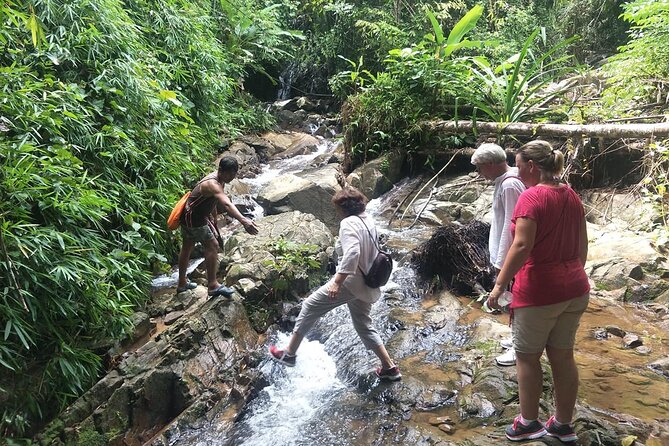 Phuket Jungle Trekking Experience at Khao Phra Taew National Park - Inclusions