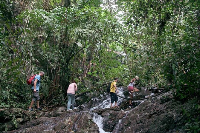 Phuket Jungle Trekking Experience at Khao Phra Taew National Park - Traveler Photos and Reviews