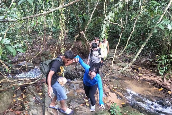Phuket Jungle Trekking Experience at Khao Phra Taew National Park - Phukets Largest Rainforest Sanctuary