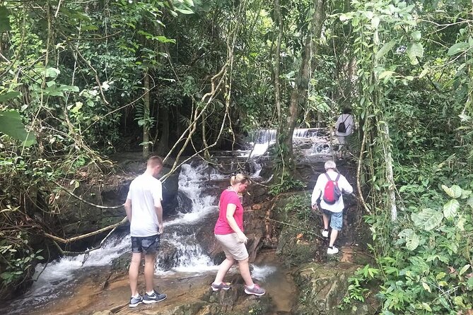 Phuket Jungle Trekking Experience at Khao Phra Taew National Park - Wildlife Sightings