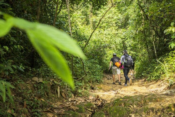 Phuket Jungle Trekking Experience at Khao Phra Taew - Experience Highlights
