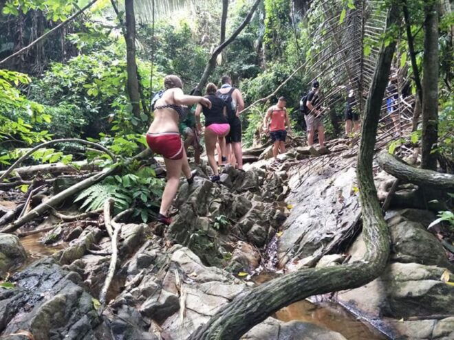 Phuket Jungle Trekking Experience at Khao Phra Taew - Inclusions