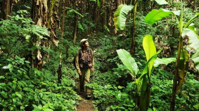 Phuket Jungle Trekking Experience at Khao Phra Taew - Customer Reviews