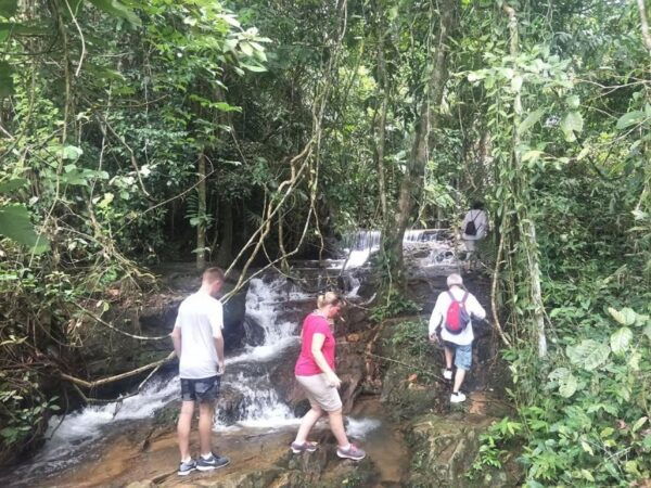 Phuket Jungle Trekking Experience at Khao Phra Taew - The Sum Up