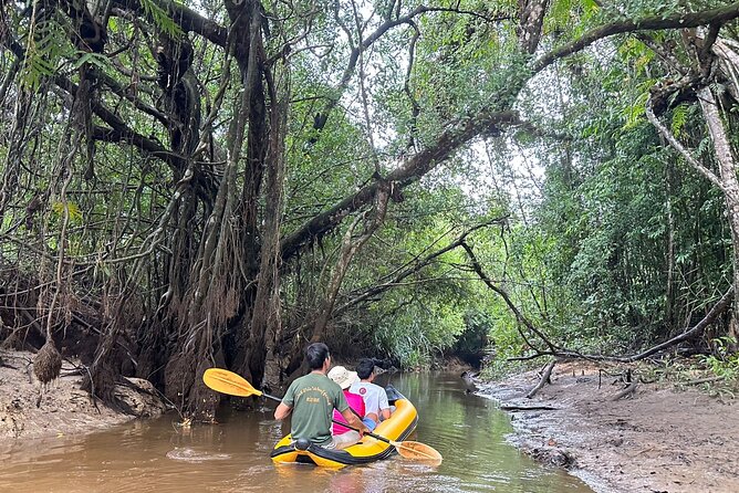 Phuket Jungle Wildlife Canoeing Small Group Tour With Pick up - Pick-up Details