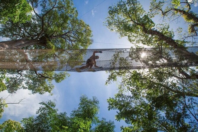 Phuket Jungle Xtreme Adventure - Safety Guidelines
