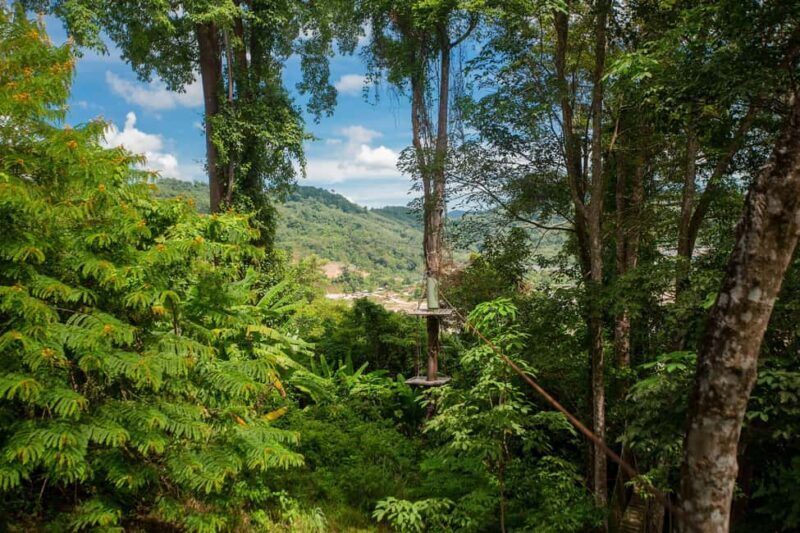 Phuket: Jungle Xtreme Adventure Park Entry Ticket - Authentic Reviews and Insights