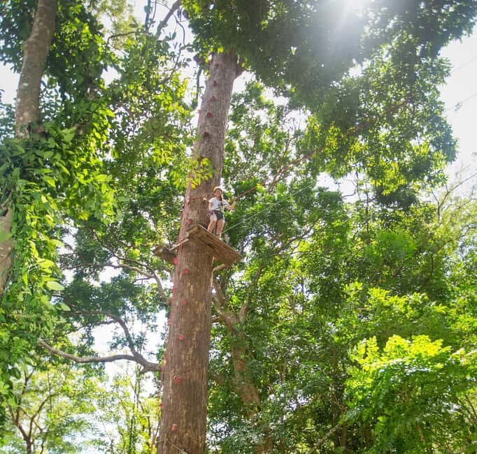 Phuket: Jungle Xtreme Adventure Park Entry Ticket - The Sum Up