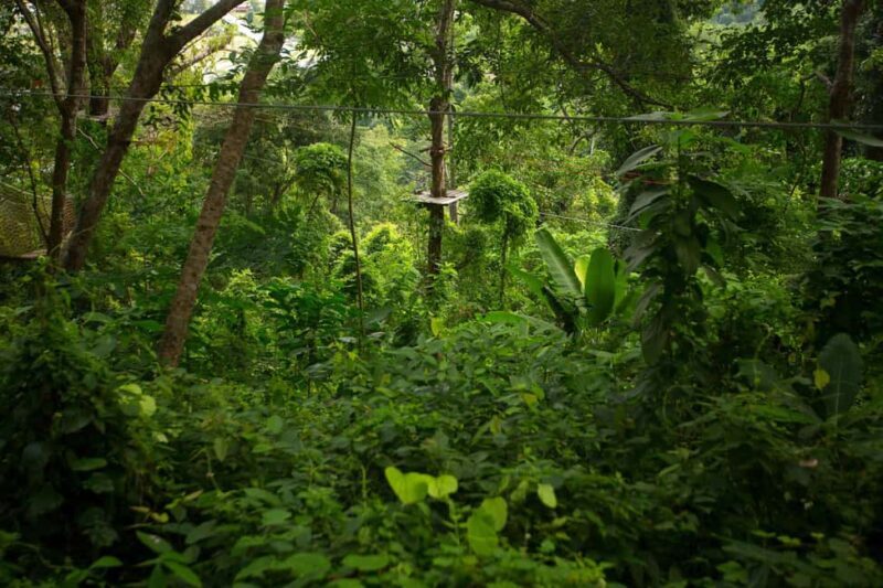 Phuket: Jungle Xtreme Adventure Park Entry Ticket - FAQ