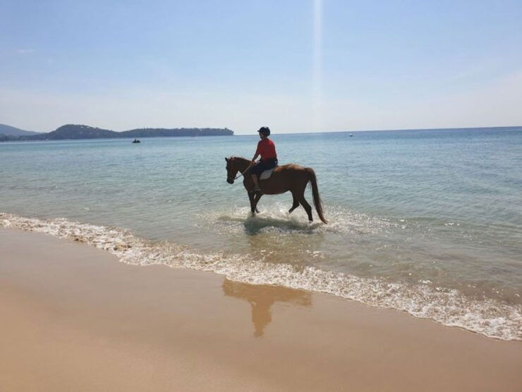 Phuket: Kamala Beach Horse Riding Activity - Activity Details