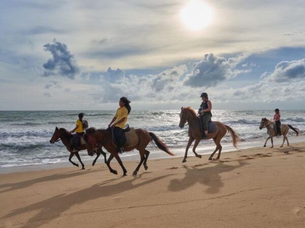 Phuket: Kamala Beach Horse Riding Activity - The Sum Up
