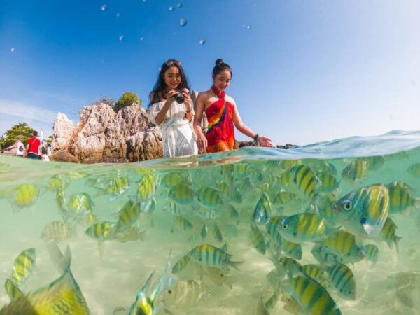 Phuket: Khai Islands Premium Speedboat Half Day Adventure - Booking and Cancellation Policy