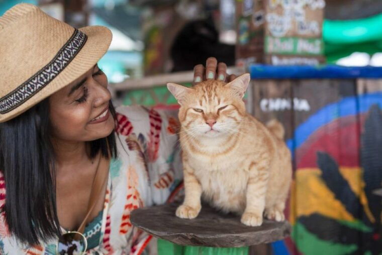 Phuket: Khai Nok, Khai Nai, and Khai Nui Island Day Trip - Important Information and Recommendations