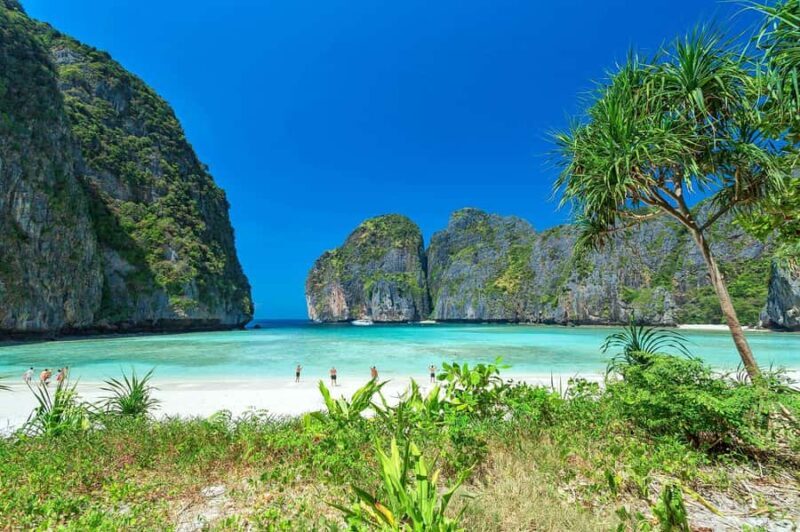 Phuket & Khao Lak: Platinum Phi Phi & Bamboo Island Escape - Return Journey and Drop-offs