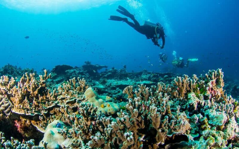 Phuket/Khao Lak: Similan Island Adventure Tour - A Deep Dive into the Similan Island Adventure Tour