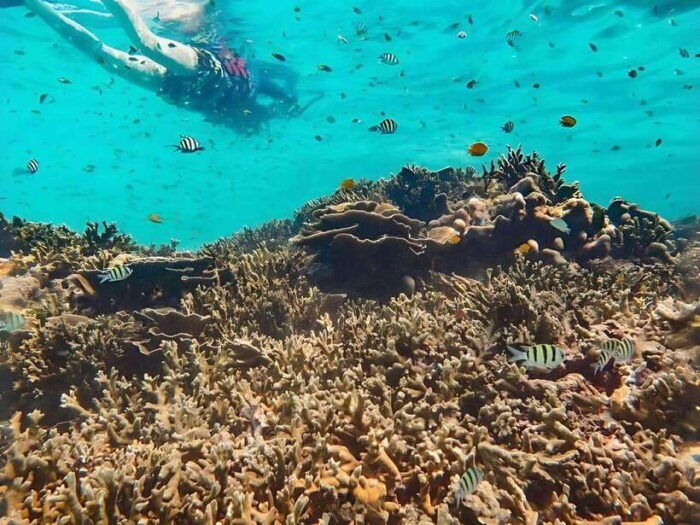 Phuket/Khao Lak: Similan Islands Boat Trip With 3 Meals - Environmental Responsibility