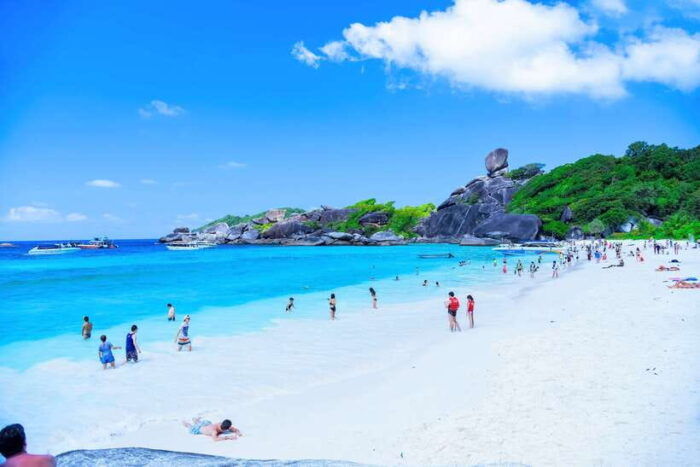 Phuket/Khao Lak: Speedboat Snorkel Tour to Similan Islands - Return Journey and Drop-off