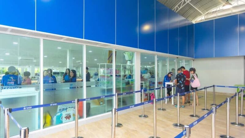 Phuket/Khao Lak: Surin Islands 3-Reef Snorkel Masterpiece - Authentic Insights from Reviews